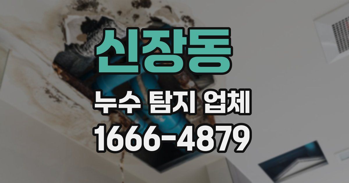 신장동 누수 탐지 업체