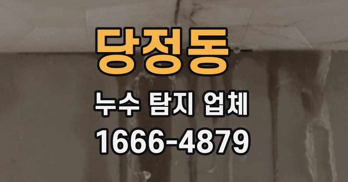 당정동 누수 탐지 업체