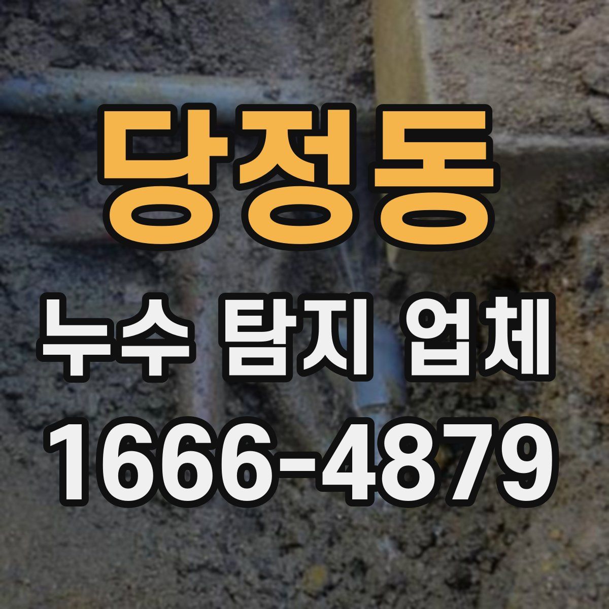 당정동 누수 탐지 업체