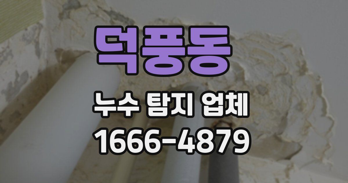 덕풍동 누수 탐지 업체