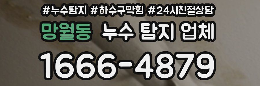 망월동 누수 탐지 업체