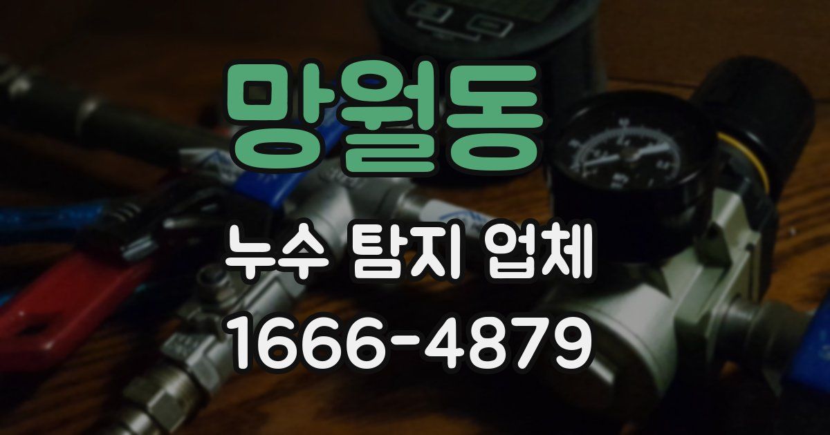 망월동 누수 탐지 업체