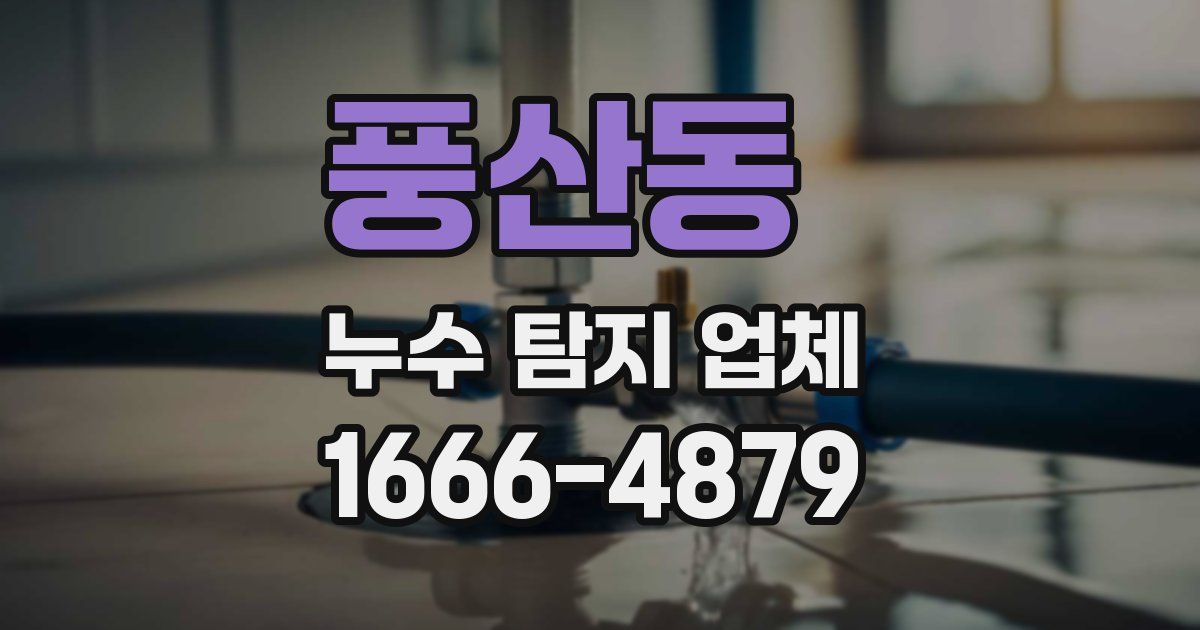 풍산동 누수 탐지 업체