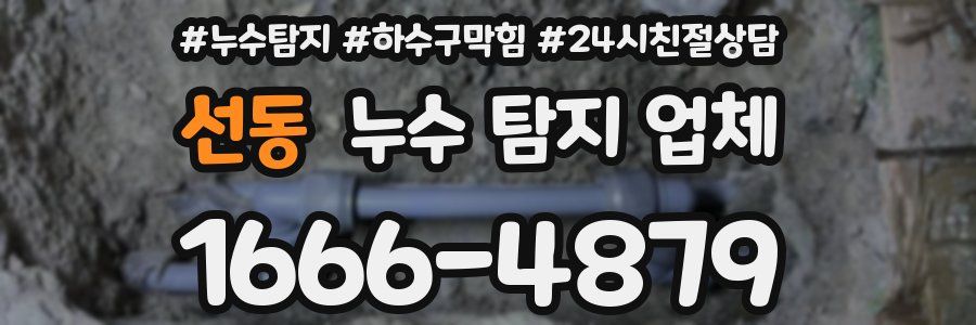 선동 누수 탐지 업체