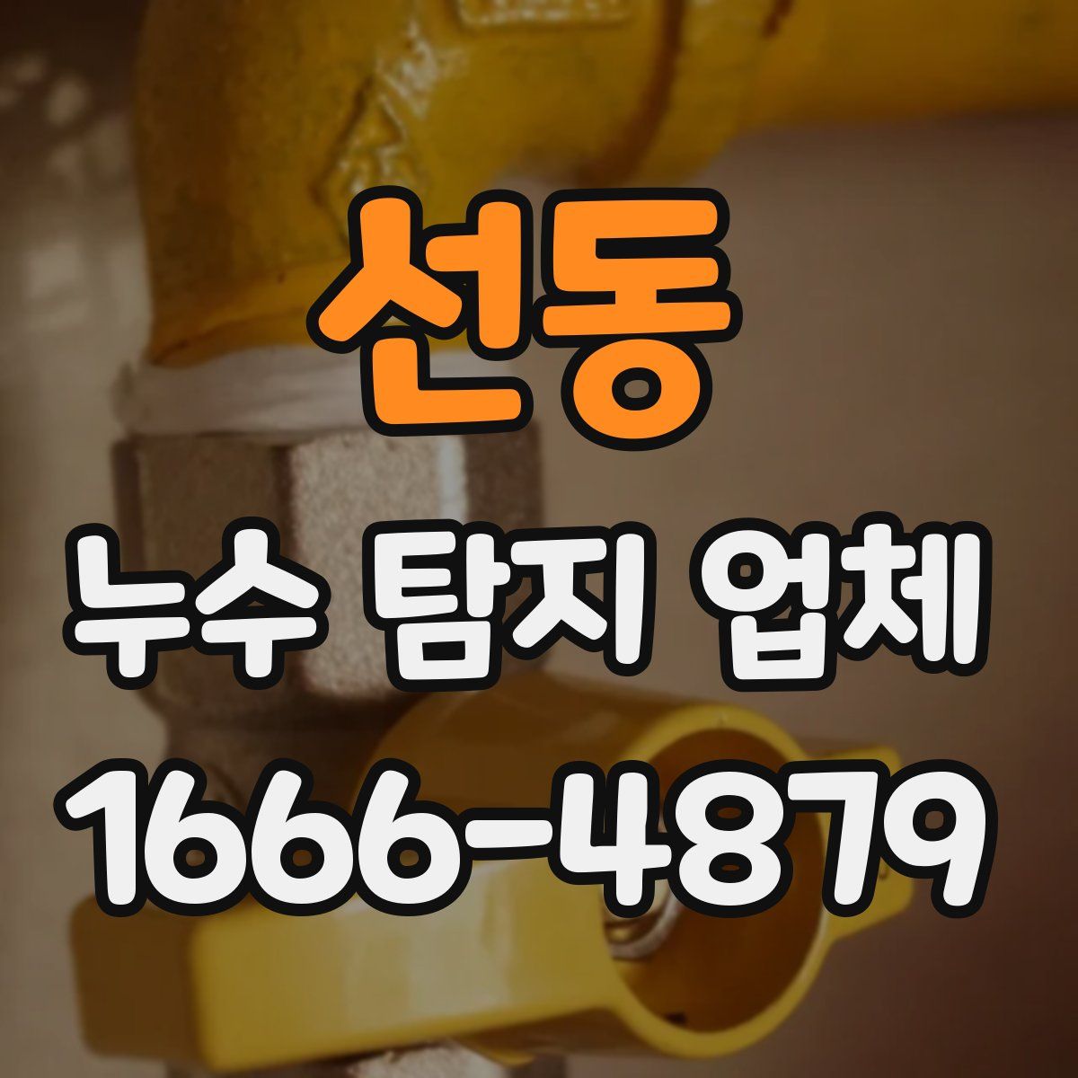 선동 누수 탐지 업체