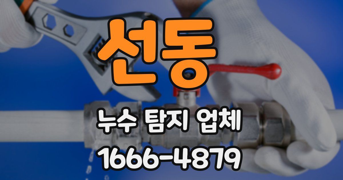 선동 누수 탐지 업체