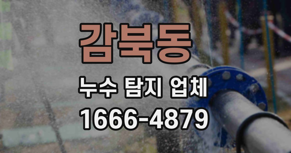 감북동 누수 탐지 업체