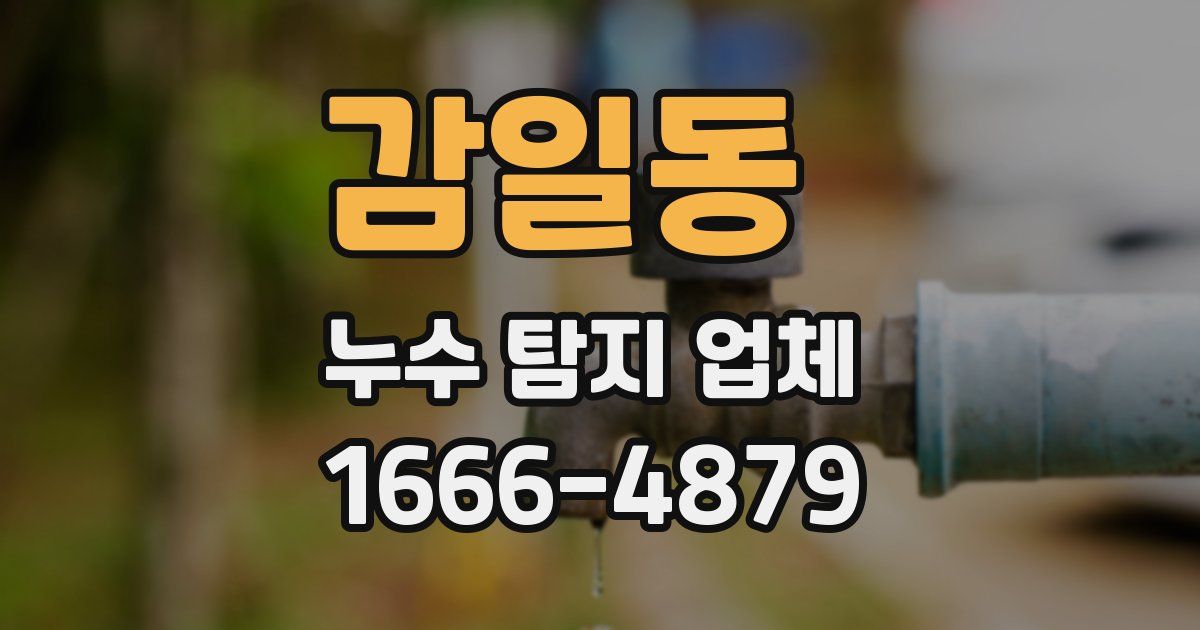 감일동 누수 탐지 업체