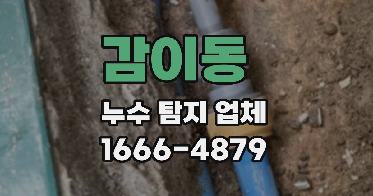 감이동 누수 탐지 업체