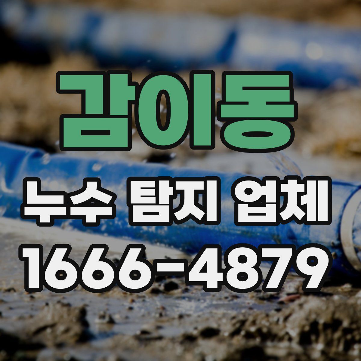 감이동 누수 탐지 업체