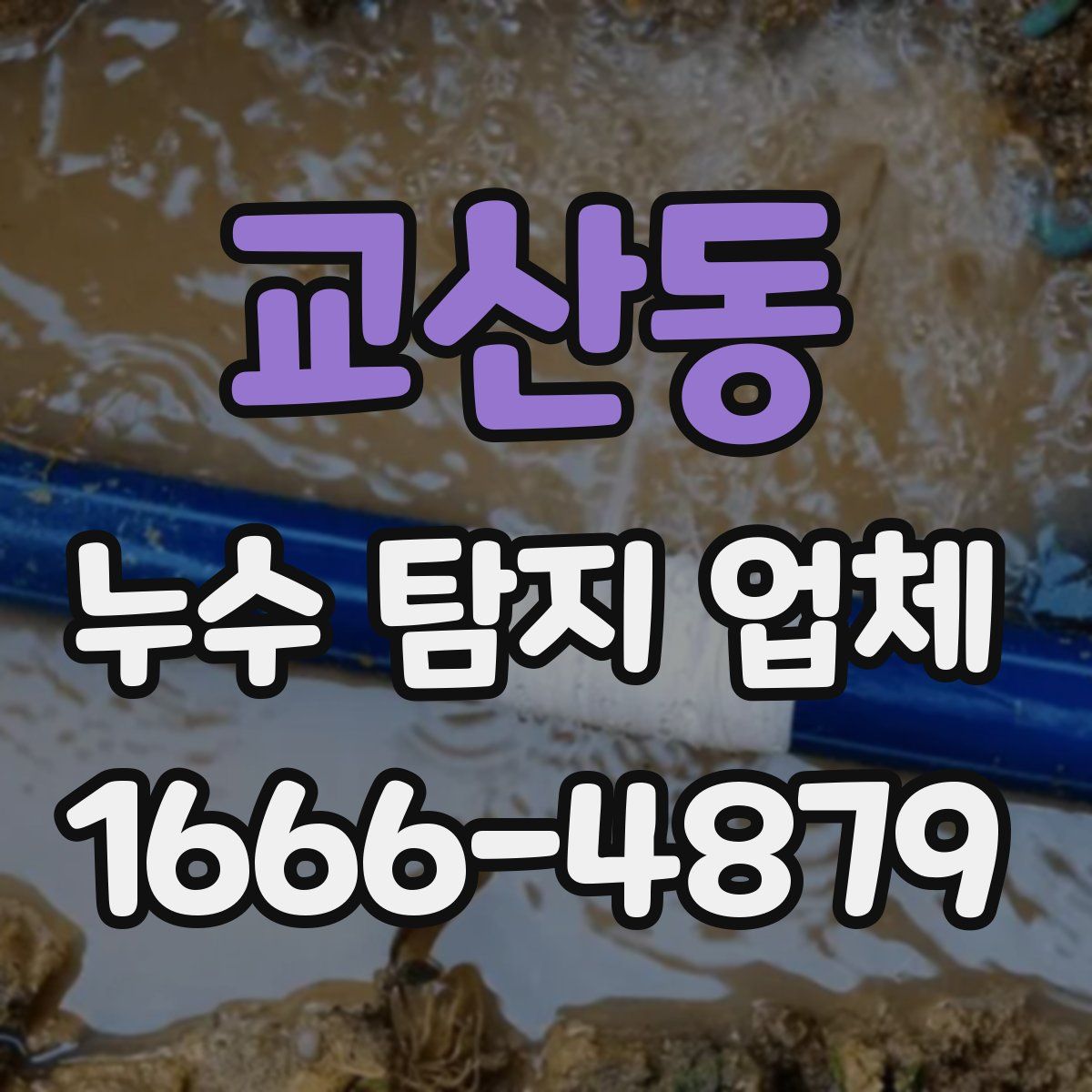 교산동 누수 탐지 업체