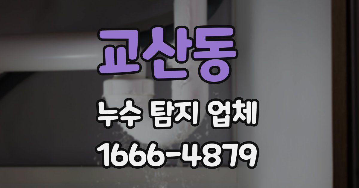 교산동 누수 탐지 업체