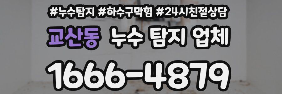 교산동 누수 탐지 업체