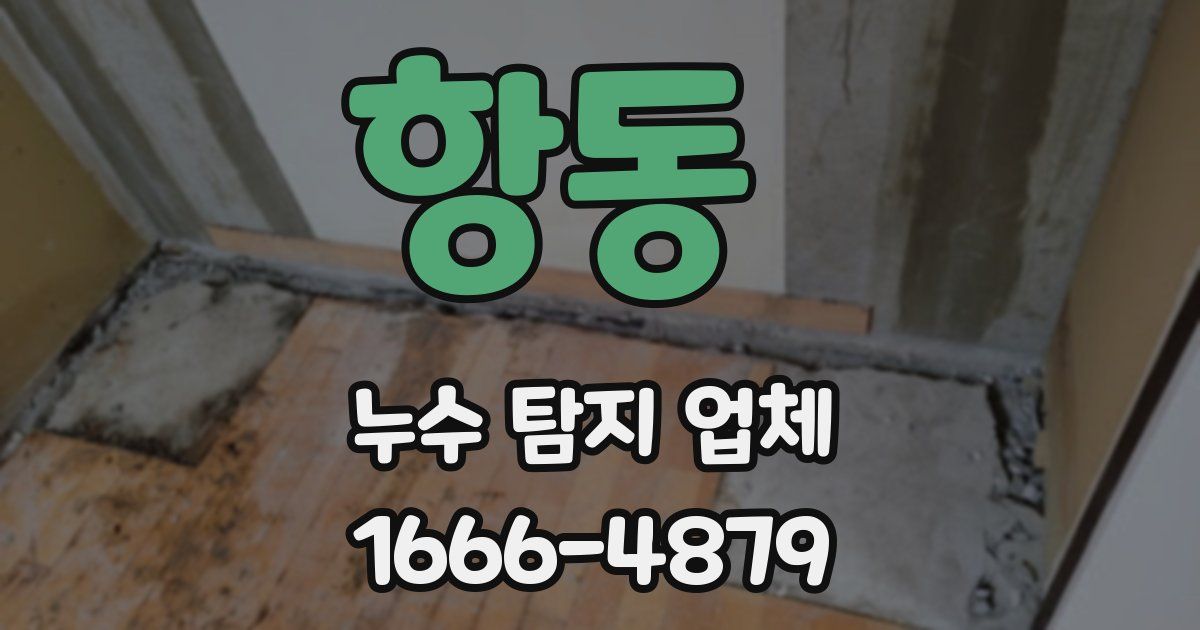 항동 누수 탐지 업체