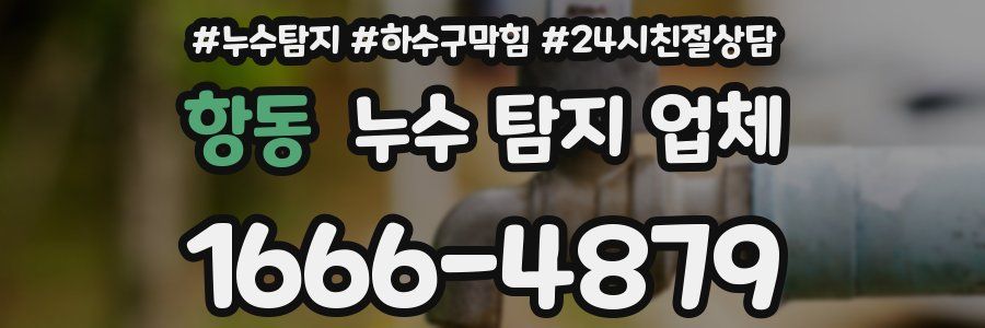 항동 누수 탐지 업체