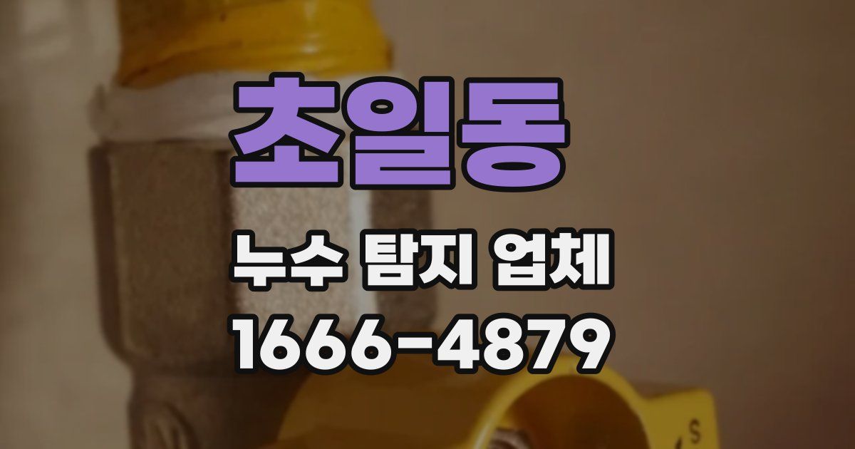 초일동 누수 탐지 업체