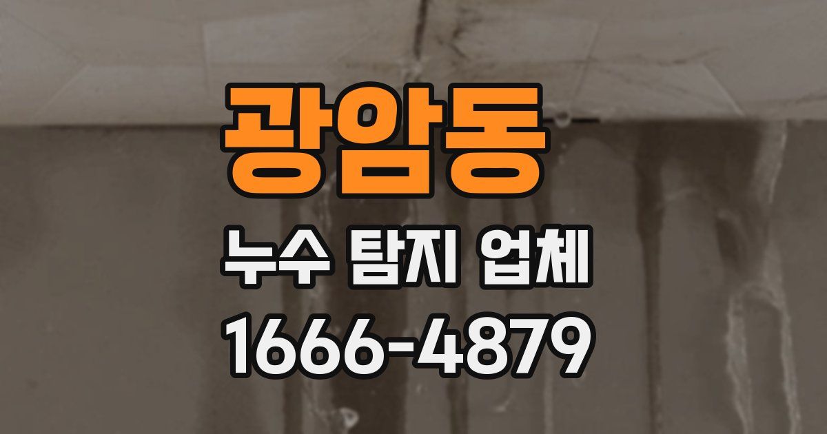 광암동 누수 탐지 업체