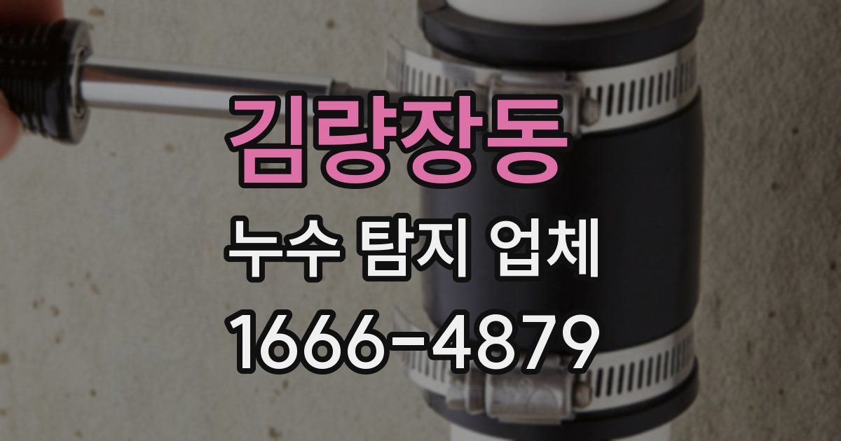 김량장동 누수 탐지 업체