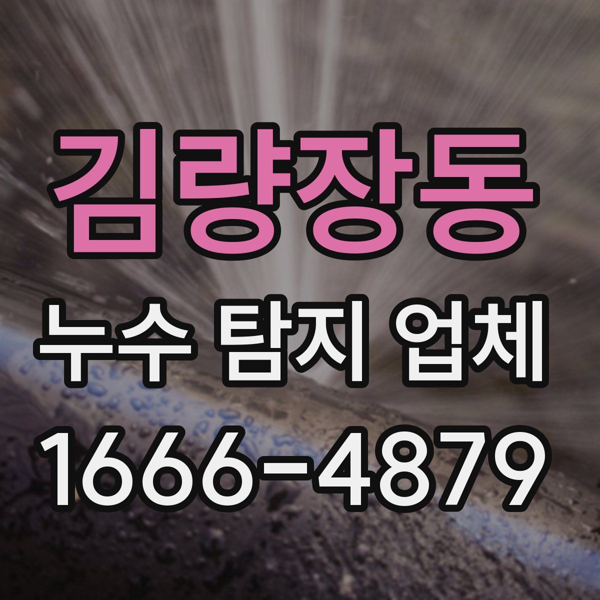김량장동 누수 탐지 업체