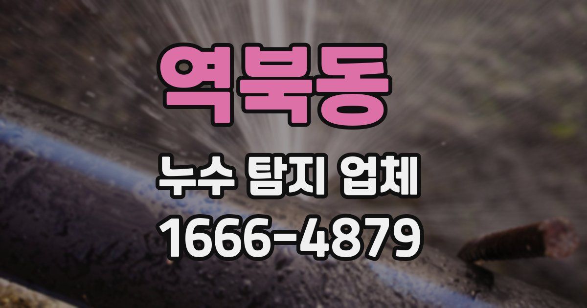 역북동 누수 탐지 업체