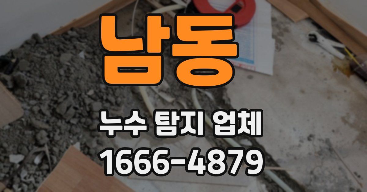 남동 누수 탐지 업체
