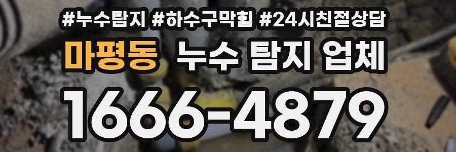 마평동 누수 탐지 업체