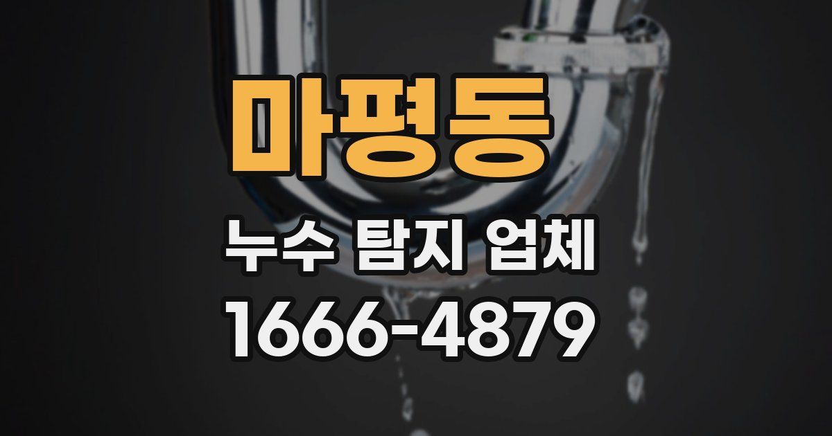 마평동 누수 탐지 업체