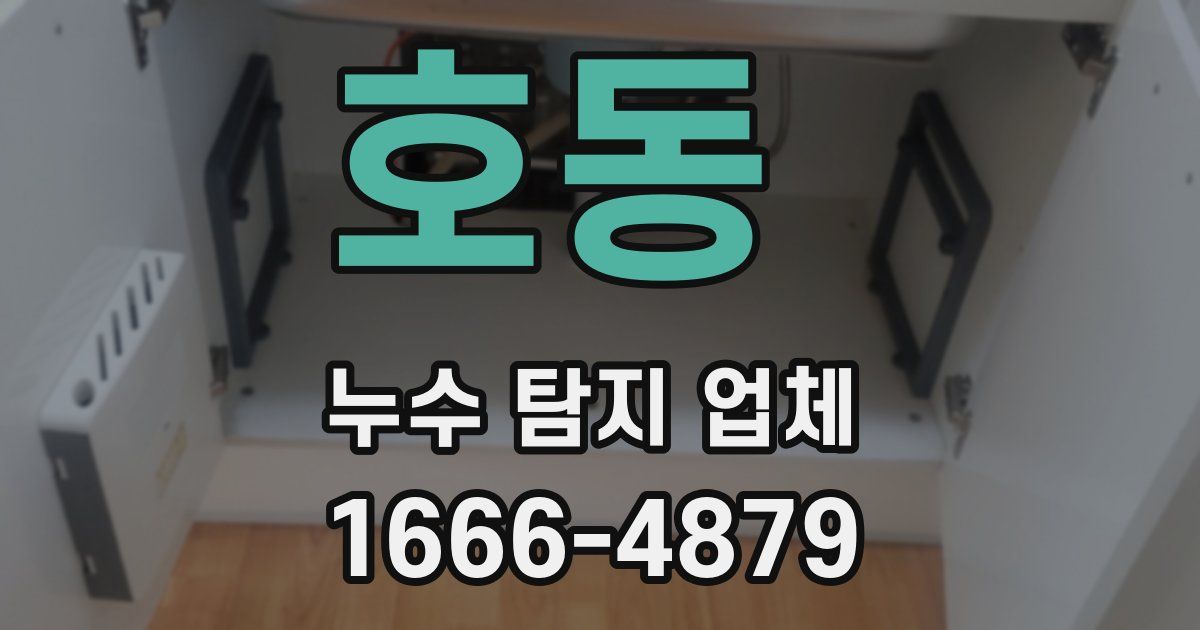 호동 누수 탐지 업체