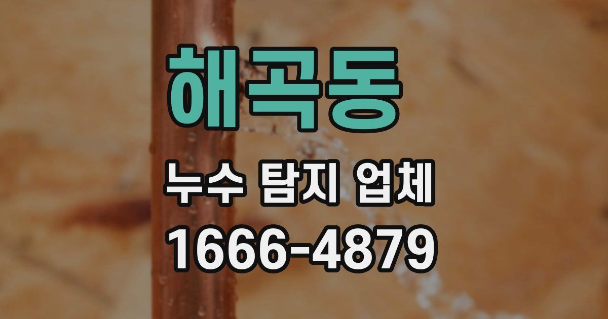 해곡동 누수 탐지 업체