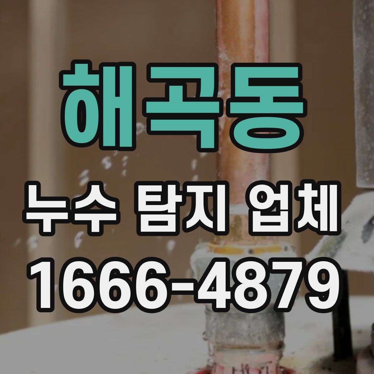 해곡동 누수 탐지 업체