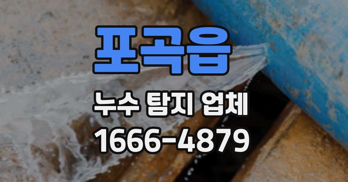 포곡읍 누수 탐지 업체