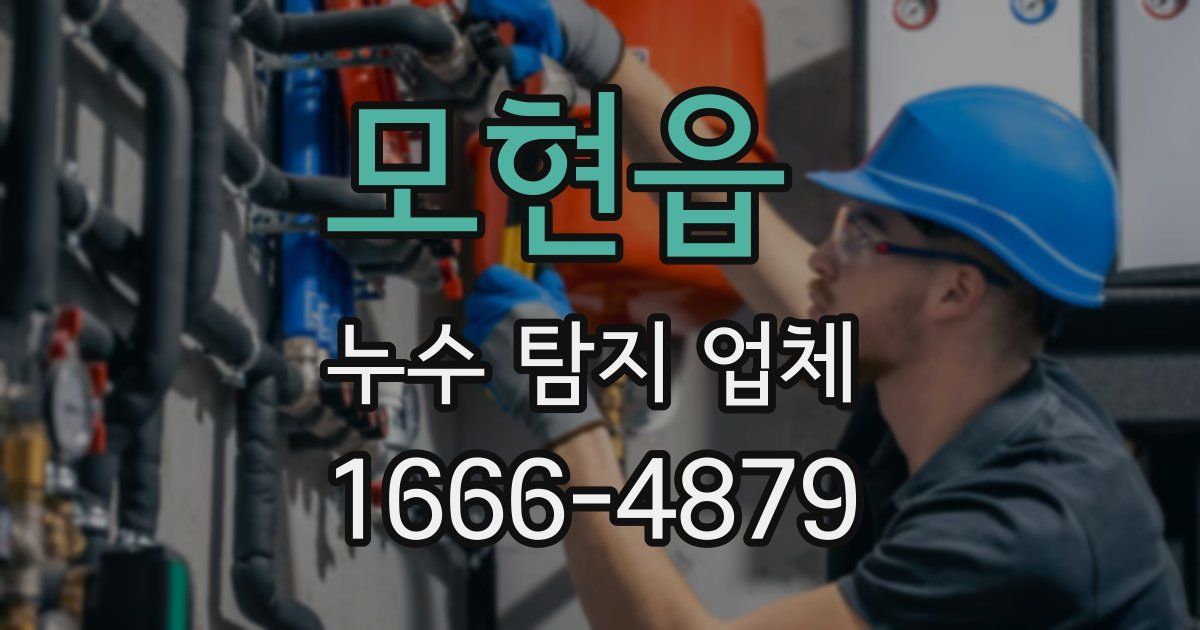 모현읍 누수 탐지 업체