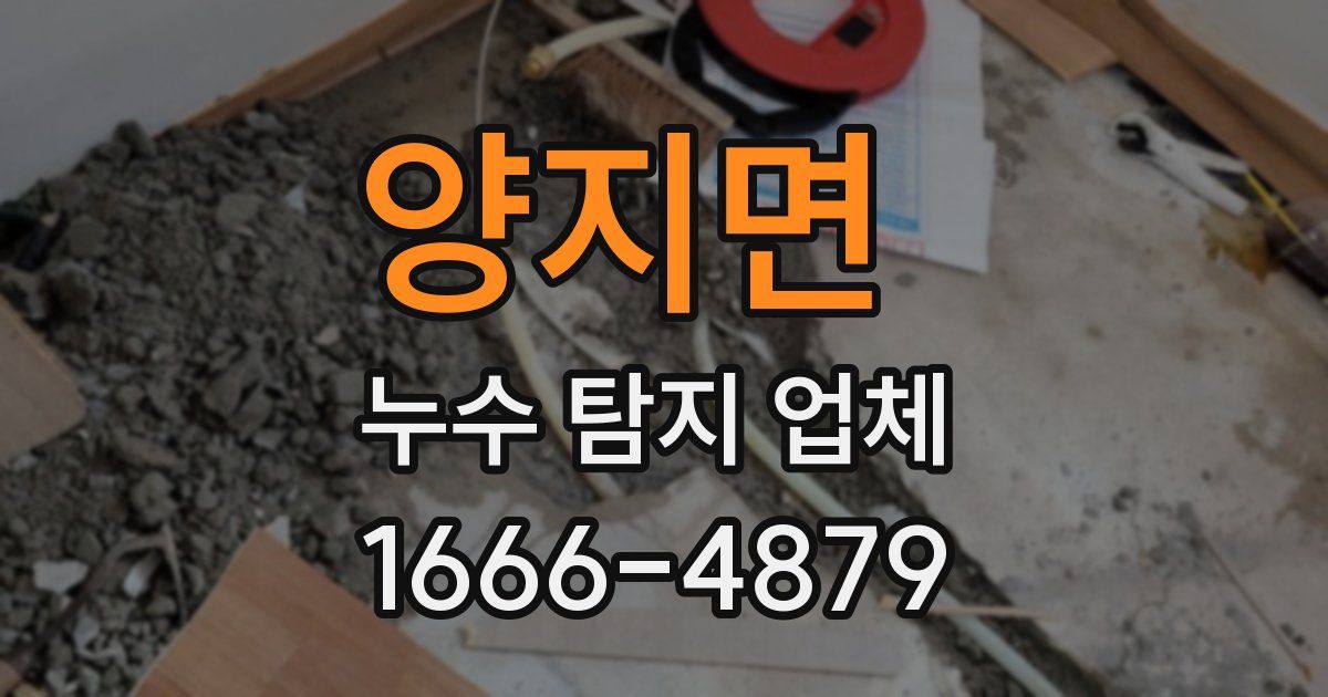 양지면 누수 탐지 업체
