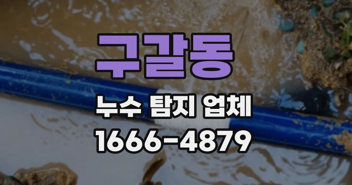 구갈동 누수 탐지 업체