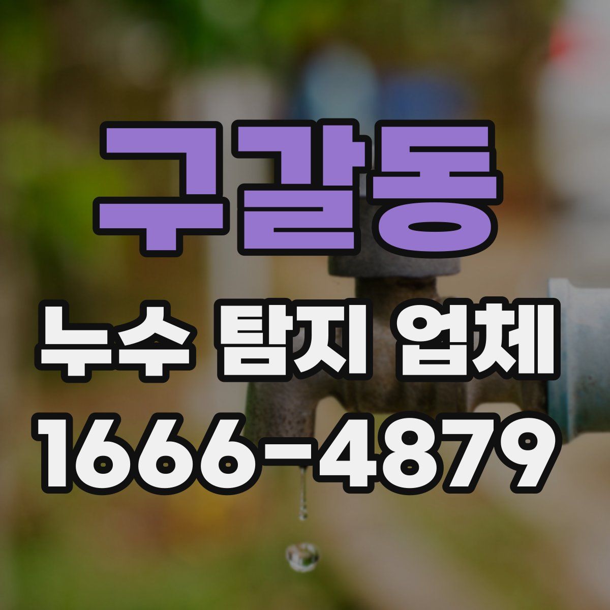 구갈동 누수 탐지 업체