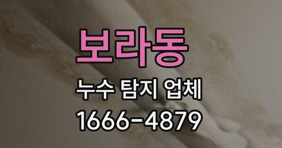 보라동 누수 탐지 업체
