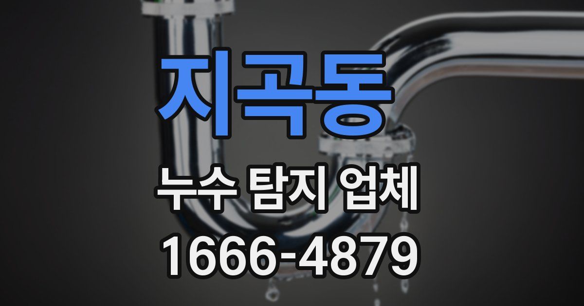 지곡동 누수 탐지 업체