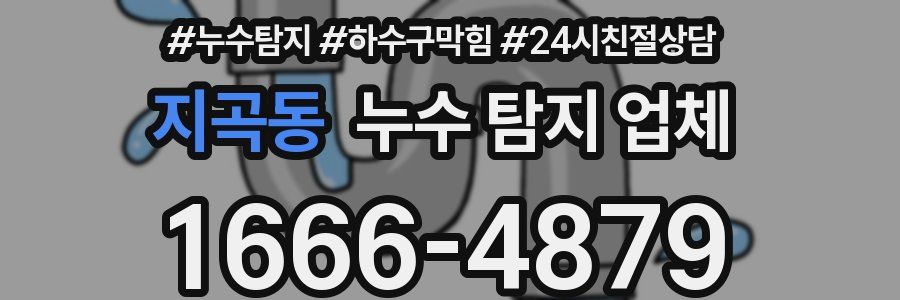 지곡동 누수 탐지 업체