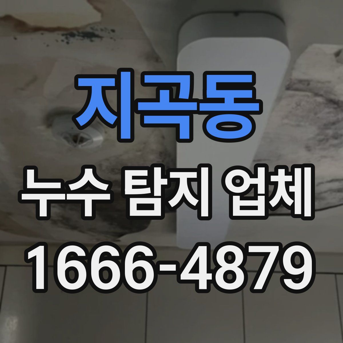 지곡동 누수 탐지 업체