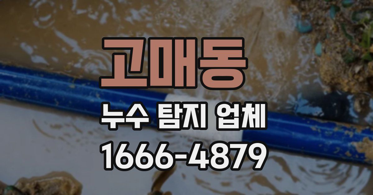고매동 누수 탐지 업체