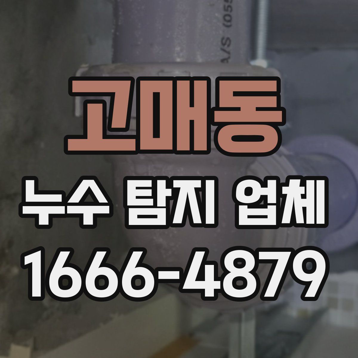 고매동 누수 탐지 업체