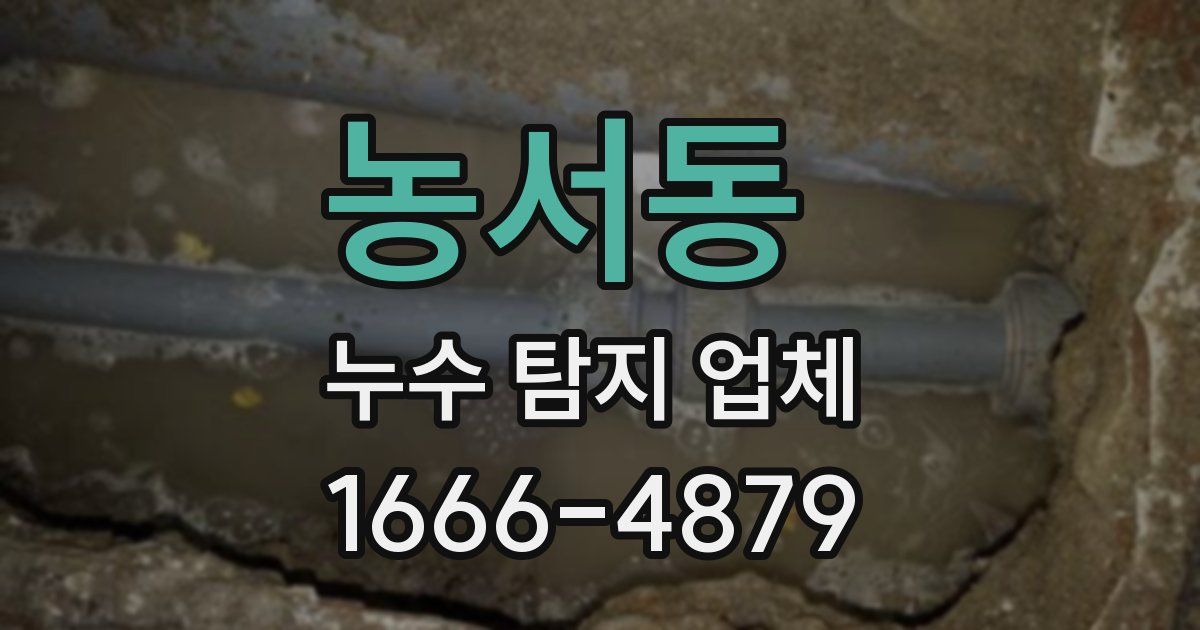 농서동 누수 탐지 업체