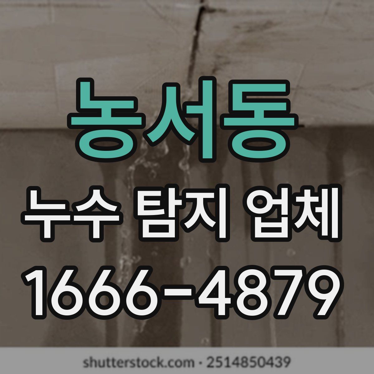 농서동 누수 탐지 업체