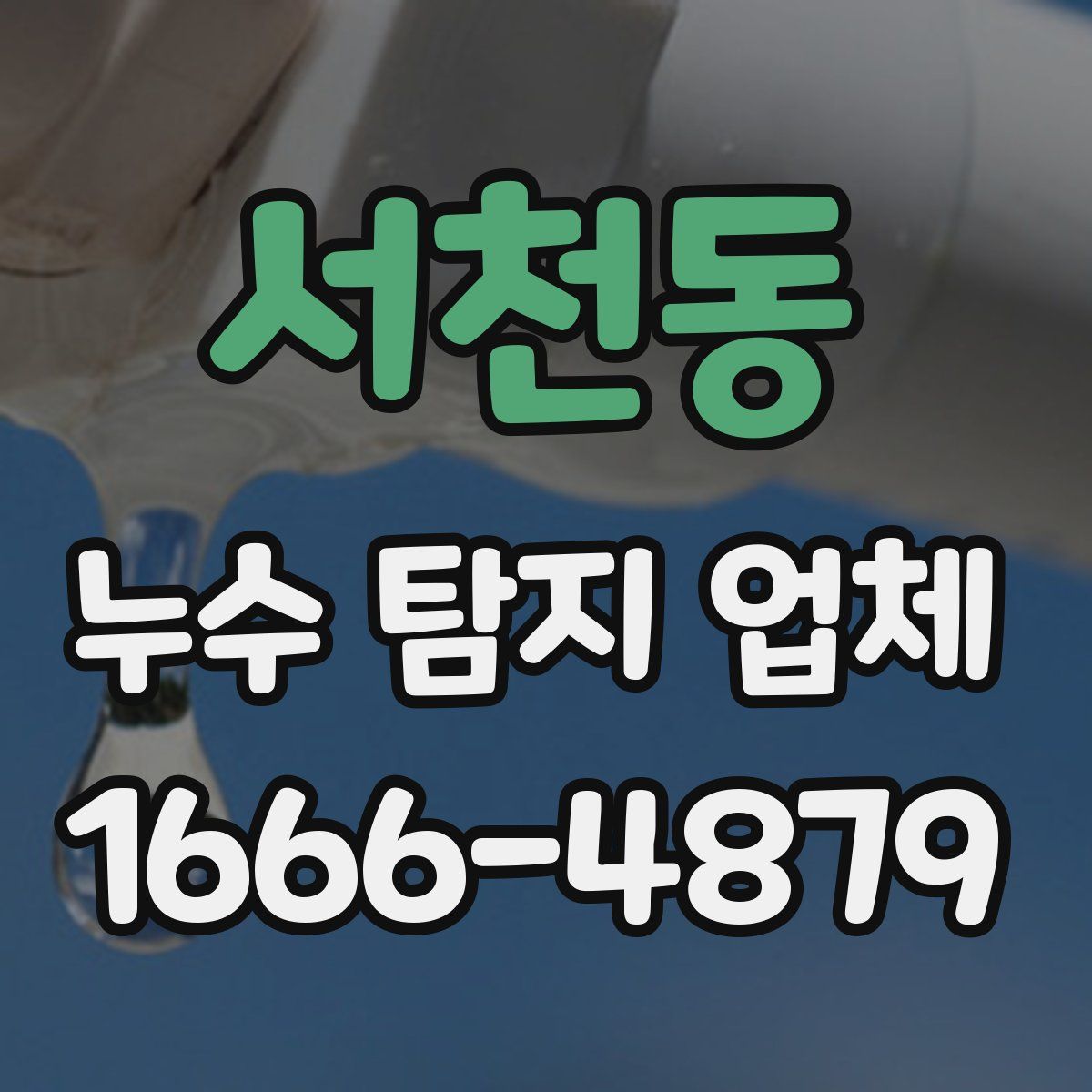 서천동 누수 탐지 업체