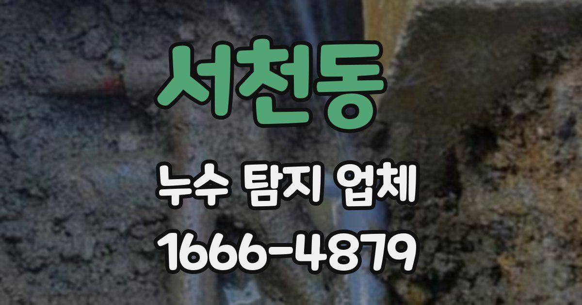 서천동 누수 탐지 업체