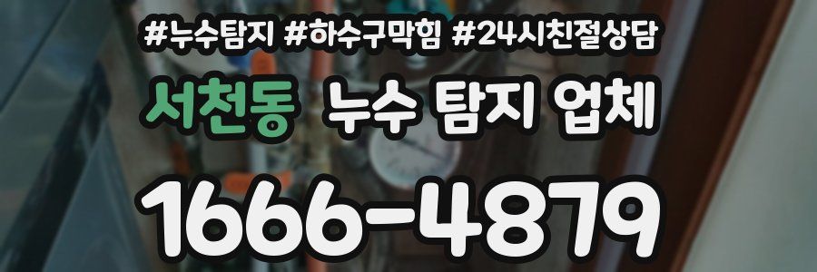 서천동 누수 탐지 업체