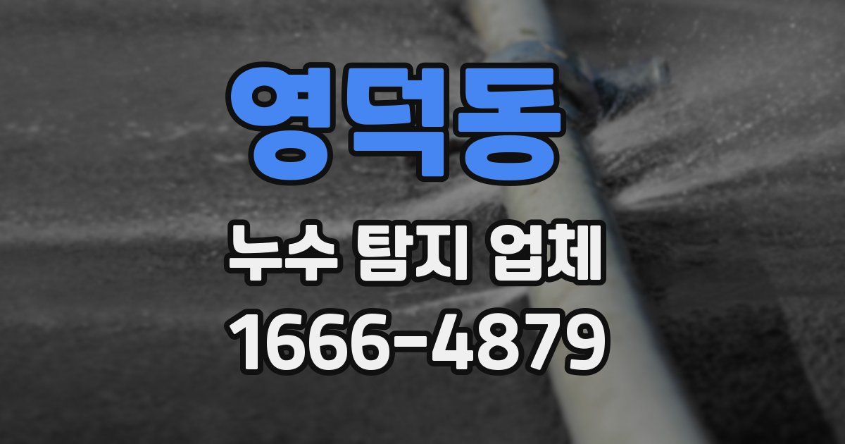 영덕동 누수 탐지 업체