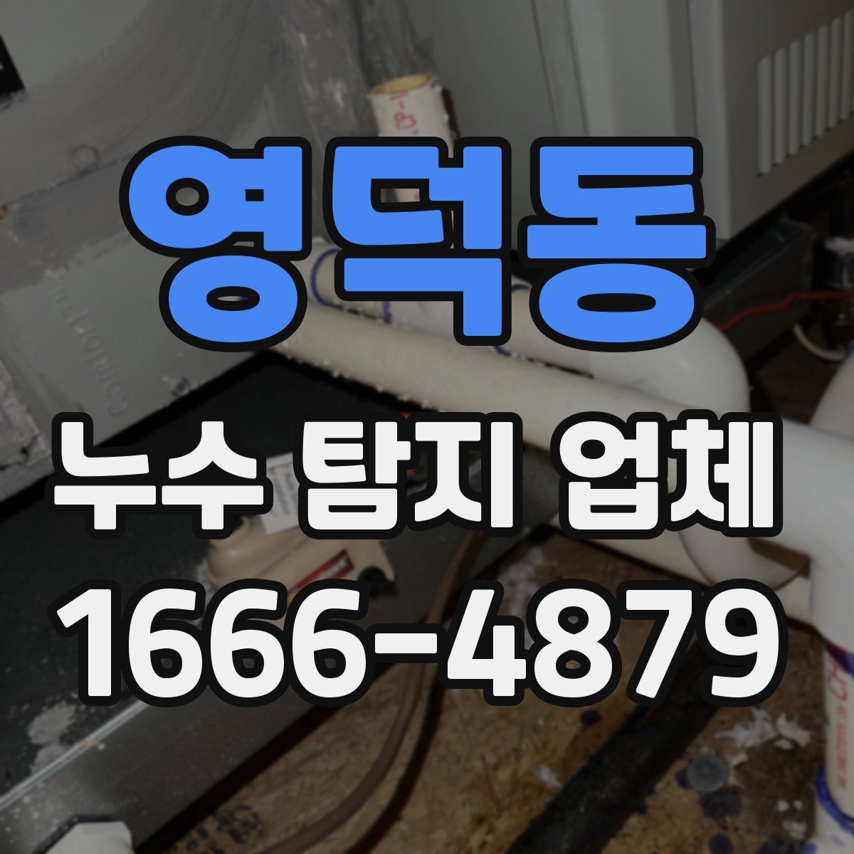 영덕동 누수 탐지 업체