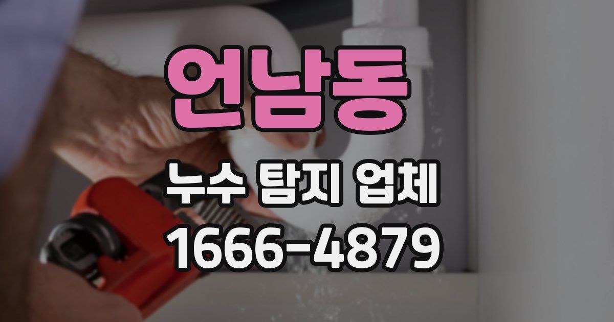 언남동 누수 탐지 업체