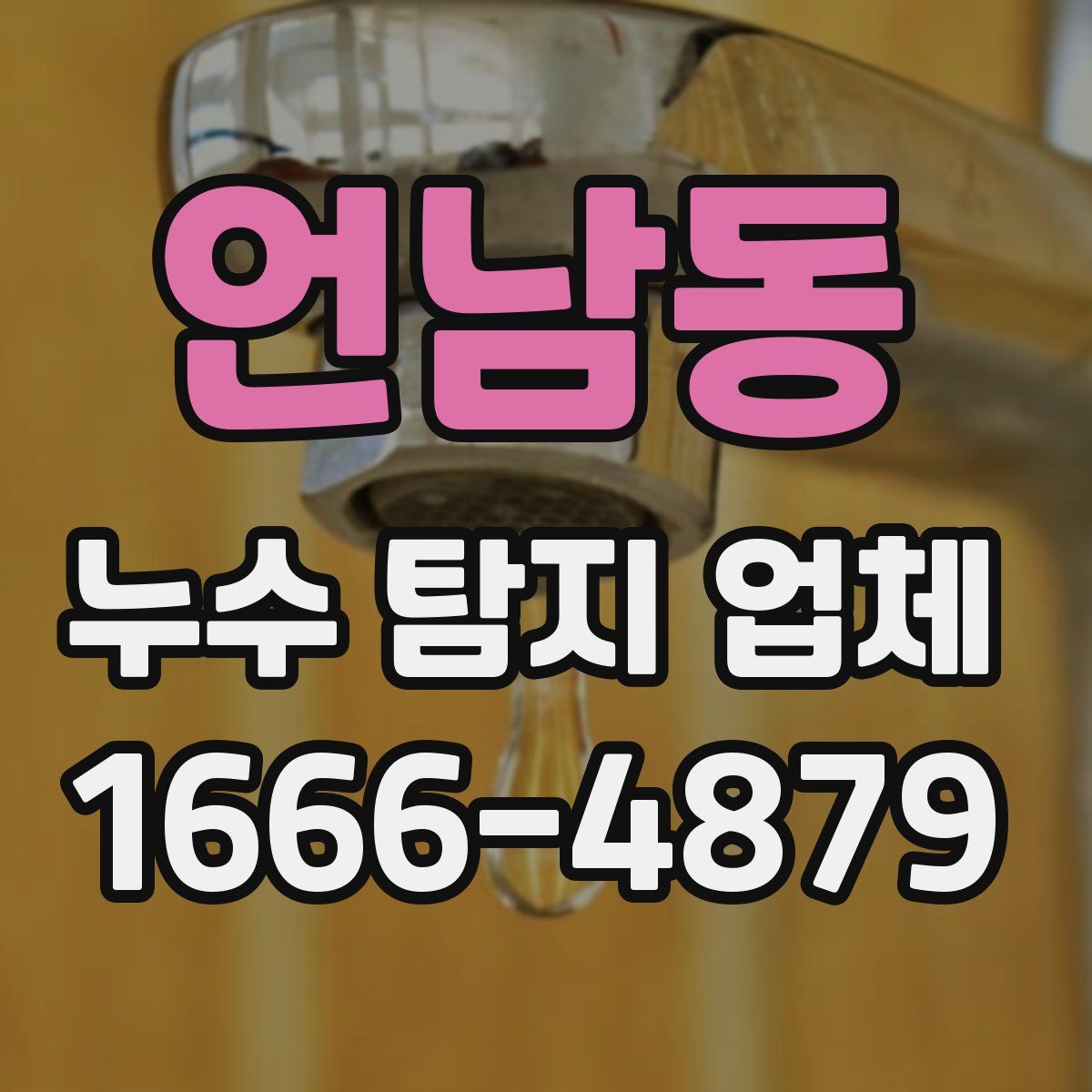 언남동 누수 탐지 업체